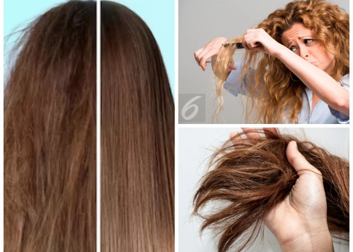 Suka Ganti-ganti Warna Rambut?,Rambut Jadi Rusak! 5 Tips/Langkah Memperbaiki Rambut Rusak