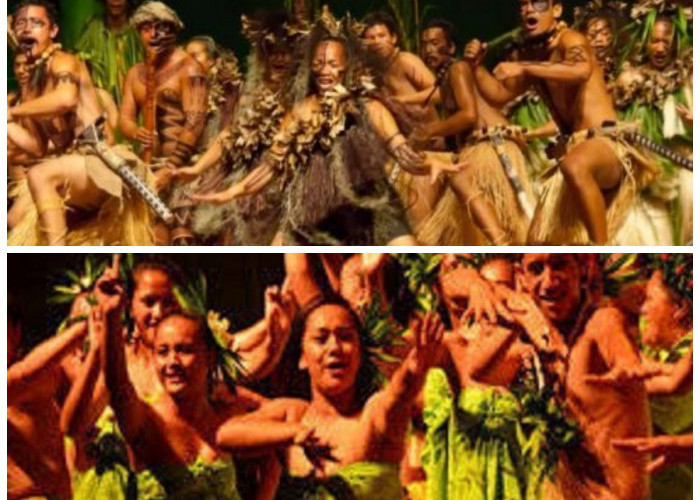 Suku Pangudia: Melacak Jejak Budaya dari Hutan Tersembunyi Pulau Buton