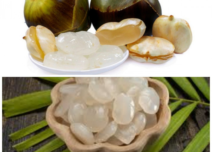 10 Khasiat Kolang Kaling yang Baik untuk Kesehatan dan Daya Tahan Tubuh