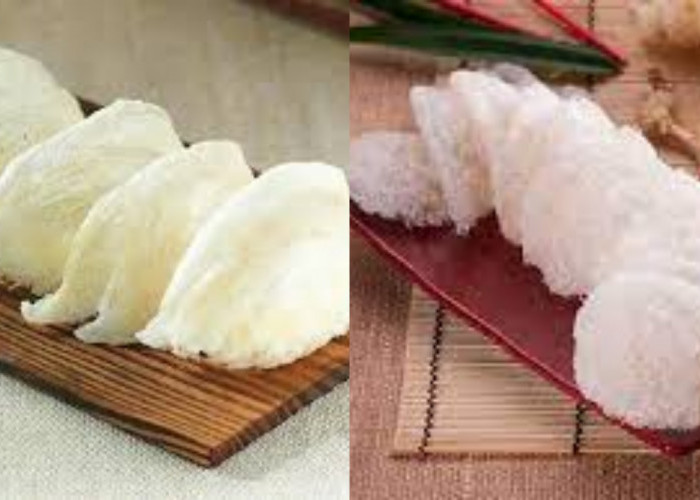 Wajib Tahu Inilah 7 Manfaat Sarang Burung Walet untuk Kesehatan!