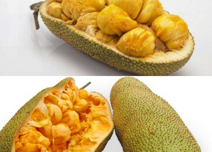  5 Manfaat  Cempedak untuk Kesehatan Yang Waji Diketahui! 