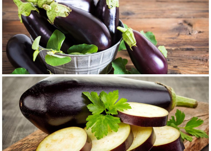 Keajaiban Terong: Manfaat Kesehatan yang Jarang Diketahui