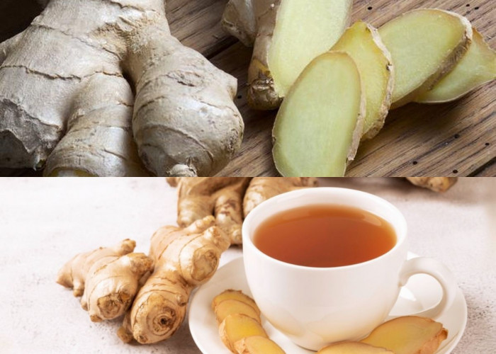 Wow! Ternayata Jahe Punya Banyak Manfaat Loh untuk Kesehatan, Begini Tips Mengolahnya Agar Maksimal