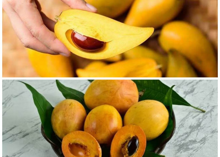 Inilah Buah Tropis Langka dengan Segudang Manfaat untuk Kesehatan Tubuh!