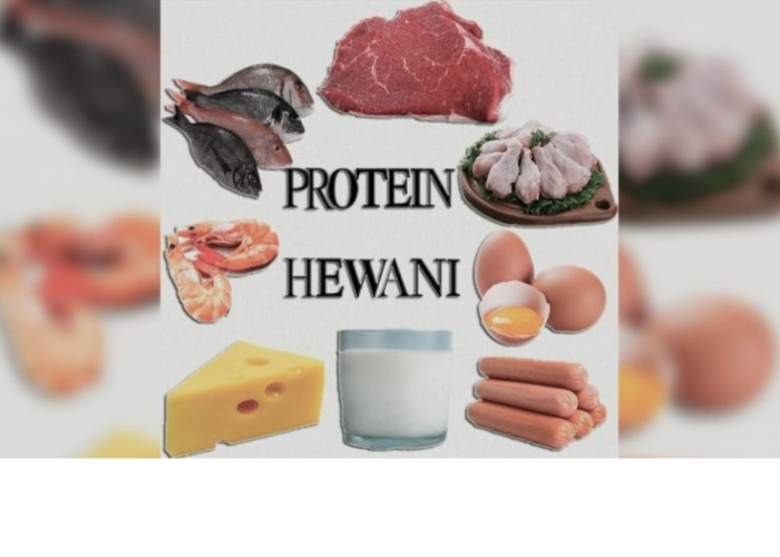 Benarkah Konsumsi Protein Hewani Efektif Cegah Stunting?Ini Penjelasnnya
