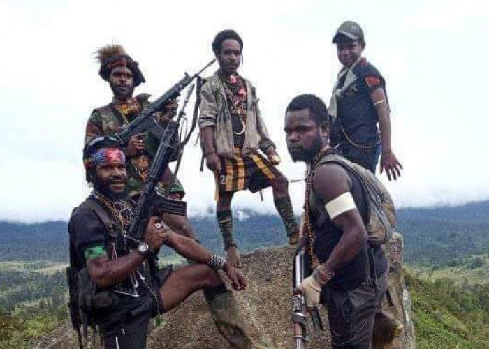 OPM! Perjuangan Papua Merdeka dan Pemisahan dari Indonesia, Tenyata Ini Faktanya
