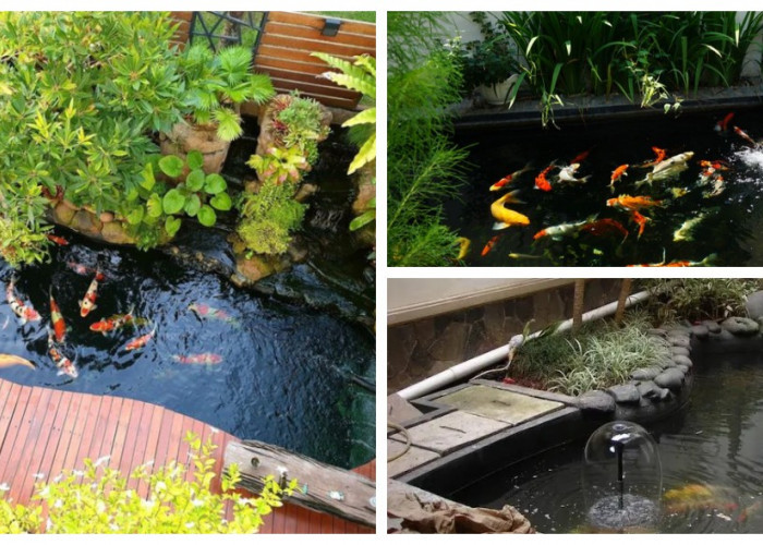Bikin Rumah Makin Nyaman: 9 Inspirasi Kolam Ikan Kecil di Halaman Belakang