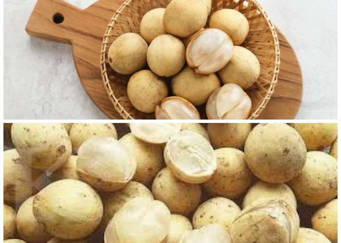 Duku, Buah Tropis Penuh Nutrisi: Inilah Ragam Manfaatnya bagi Kesehatan