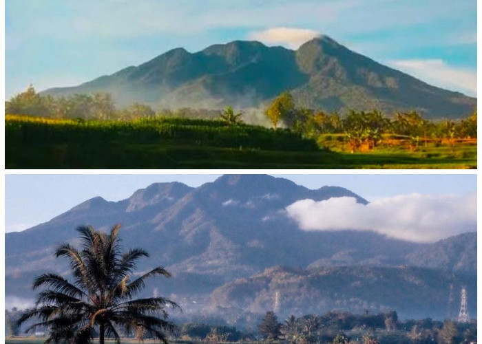 Gunung Sago, Permata Tersembunyi di Ketinggian Sumatera Barat yang Penuh Cerita dan Pesona