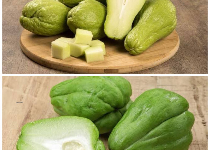 Manfaat Labu Siam bagi Kesehatan Tubuh: Sayuran Sederhana dengan Segudang Khasiat!