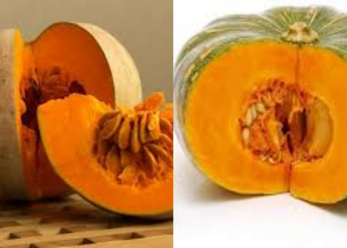 Manfaat Labu Kuning Bagi Kesehatan Lambung Wajib Kalian Tahu!