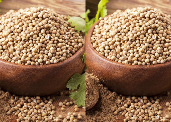 Meningkatkan Sistem Imun Teryata Ini Guys Manfaat Ketumbar Untuk Kesehatan Yang Luar Biasa! 