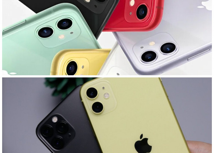 Kupas Tuntas iPhone 11: Performa Andal dan Kamera yang Bikin DSLR Kalah Pamor