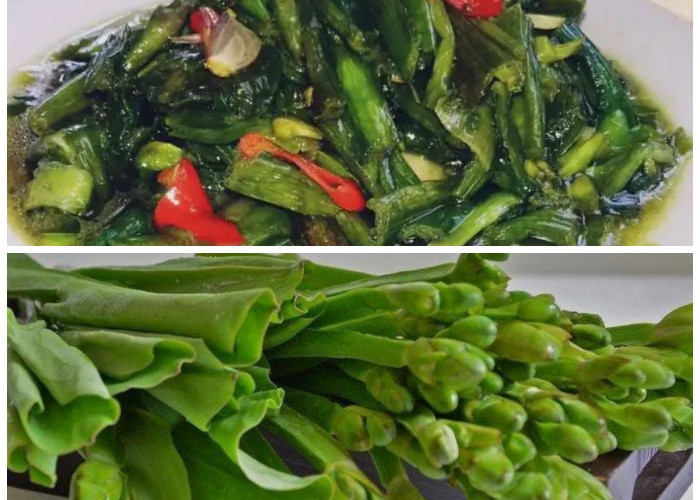 Kaya Nutrisi, Inilah Manfaat Genjer untuk Kesehatan dan Program Diet Alami