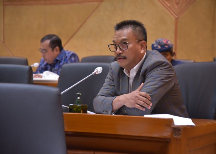 Kekerasan terhadap Dokter di Lampung, Eddy Wuryanto Usul Ada Satpam di Tiap Faskes