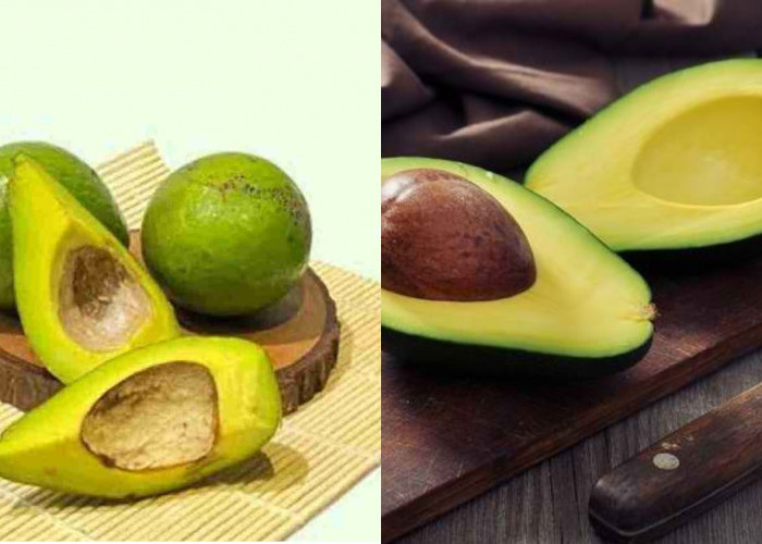 Wajib Coba Inilah Makanan Khas Kampar Dengan Cita Rasa Yang Luar Biasa! 