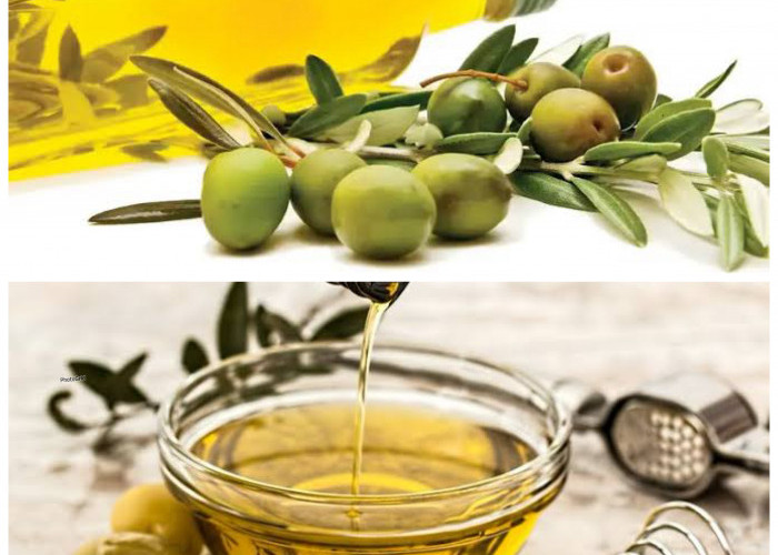 7 Manfaat Buah Zaitun bagi Kesehatan Tubuh: Rahasia Alami untuk Menjaga Vitalitas dan Kesejahteraan!