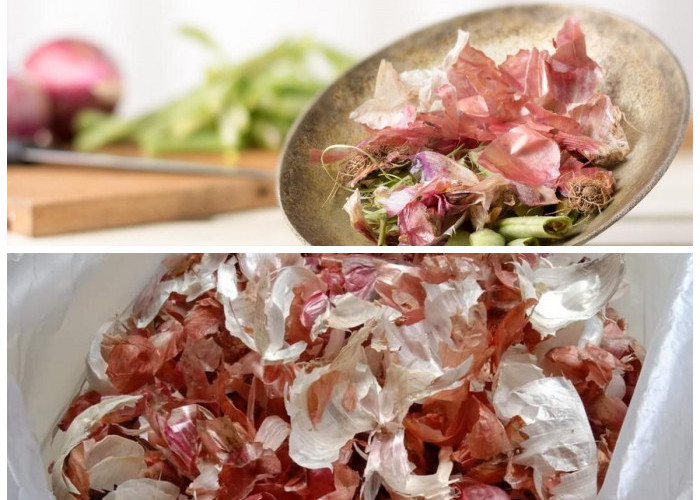 Kulit Bawang Punya Khasiat Luar Biasa, Yuk Simak 5 Manfaatnya untuk Tubuh!