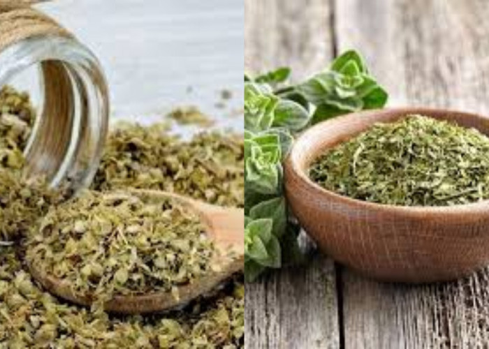 Beragam Manfaat Teh Oregano Untuk Kesehatan Tubuh Yang Luar Biasa!