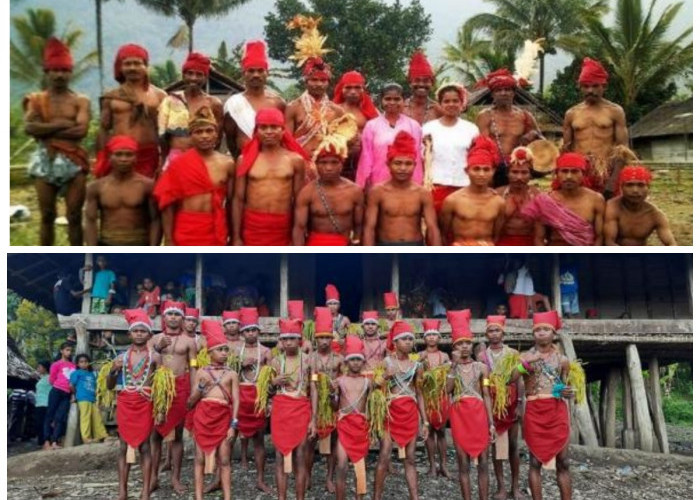 Jejak Leluhur di Tanah Seram: Mengungkap Sejarah dan Budaya Suku Wayoli