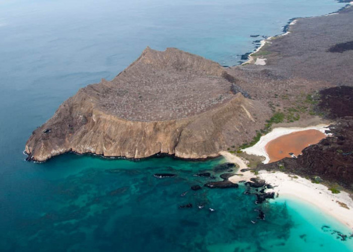 Wajib Masuk List Liburan! Inilah 5 Tempat Wisata yang Ada di Kepulauan Galapagos