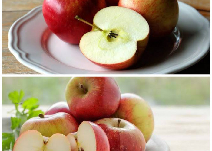 Manfaat Buah Apel bagi Kesehatan Tubuh: Rahasia Alam untuk Hidup Lebih Sehat dan Bugar!