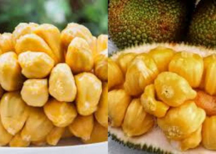 Yuk Intip! Manfaat Cempedak Untuk Kesehatan Tubuh Yang Jarang Diketahui 