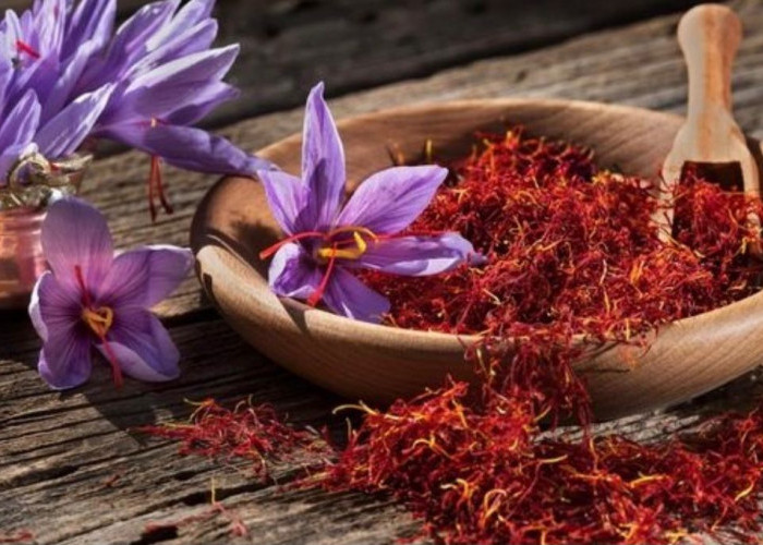 Udah Tau Belum? Inilah 5 Manfaat Bunga Saffron untuk Kesehatan Tubuh 