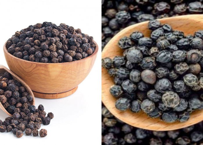 Jarang Diketahui Teryata Ini Manfaat Lada Hitam Untuk Kesehatan Tubuh Yang Luar Biasa! 