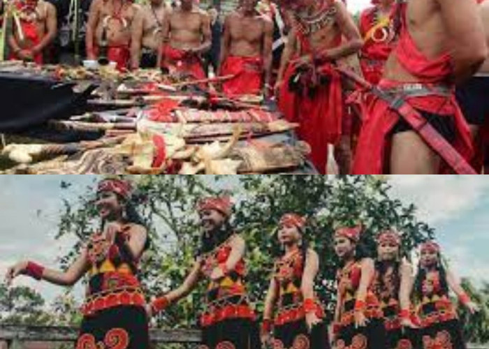 Mengulik Keberagaman Tadisi dan Budaya di Pulau Kalimantan yang Unik dan Menarik, Cus Gas!