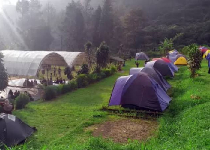 Udara Asri dan Sejuk Puncak Bogor Jadi Tujuan Camping Paling Rekomended, Ini Nama Tempatnya