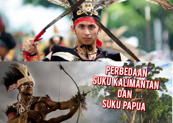 Ternyata Begini Perbedaan Menarik Suku Papua Dengan Suku Kalimantan, Simak Sampai Habis Disini! 