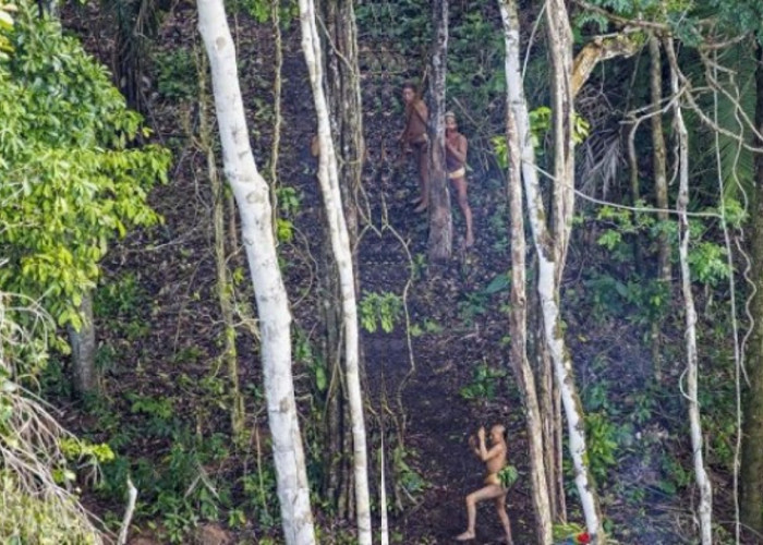 Mengapa Suku Amazon Menjaga Jarak? Penampakan Langka Mereka Membuka Mata Dunia!