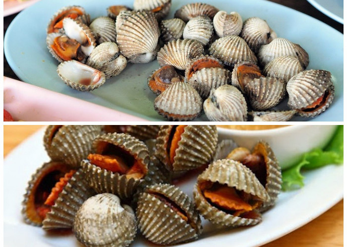 Cara Praktis Memasak Kerang Dara Rebus yang Lezat dan Bergizi