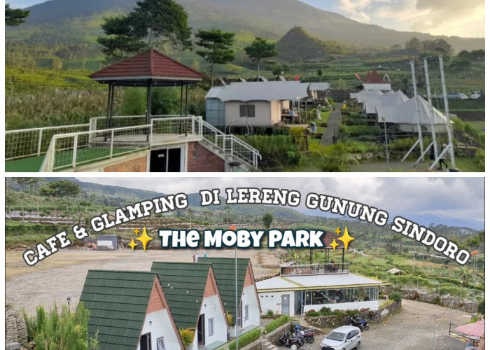 Menikmati Pesona Alam di Glamping The Moby Park, Wisata Seru di Wonosobo