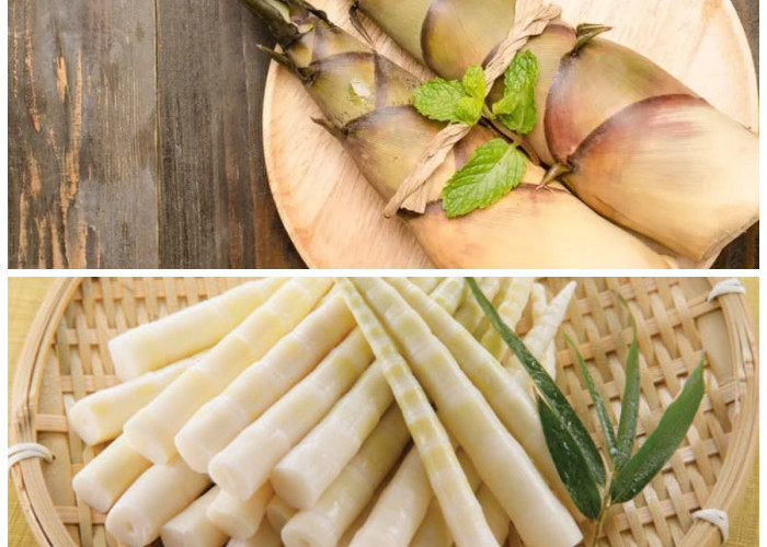 Segudang Manfaat Rebung bagi Tubuh, Penuh Vitamin dan Mineral