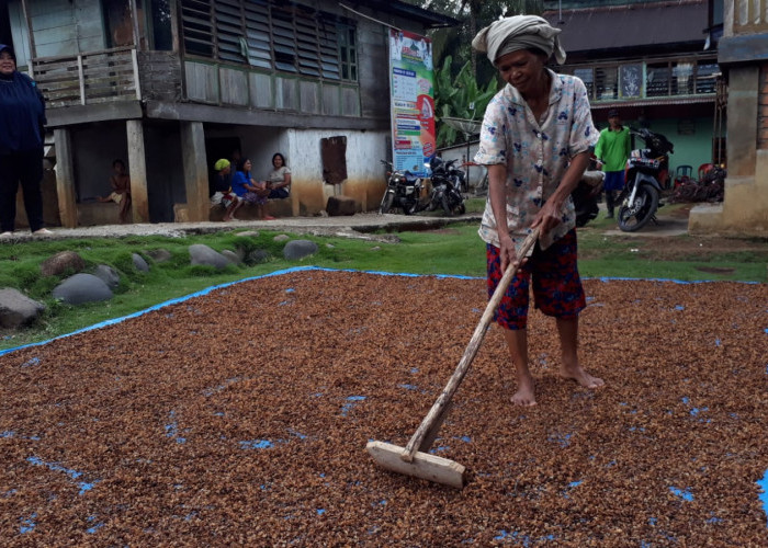 Haryanto: Pertanian Sektor Utama yang Jadi Perhatian