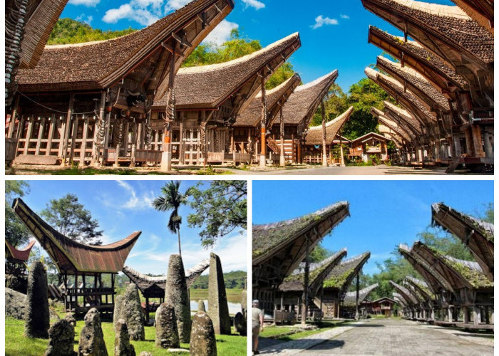 Sejarah Desa Kete Kesu: Warisan Budaya Megalitik Tana Toraja yang Tetap Hidup!