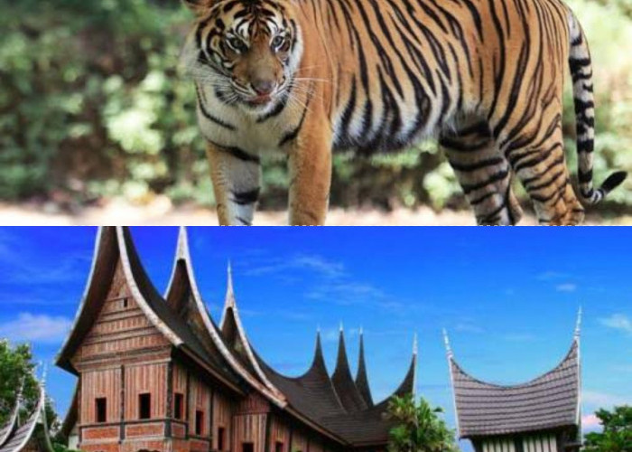 Inyiak Balang: Memahami Penghormatan Masyarakat Minang terhadap Harimau sebagai Legenda Klasik