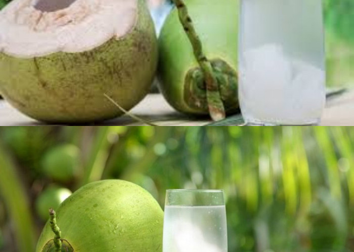 Inilah Keuntungan Air Kelapa Muda untuk Kesehatan!