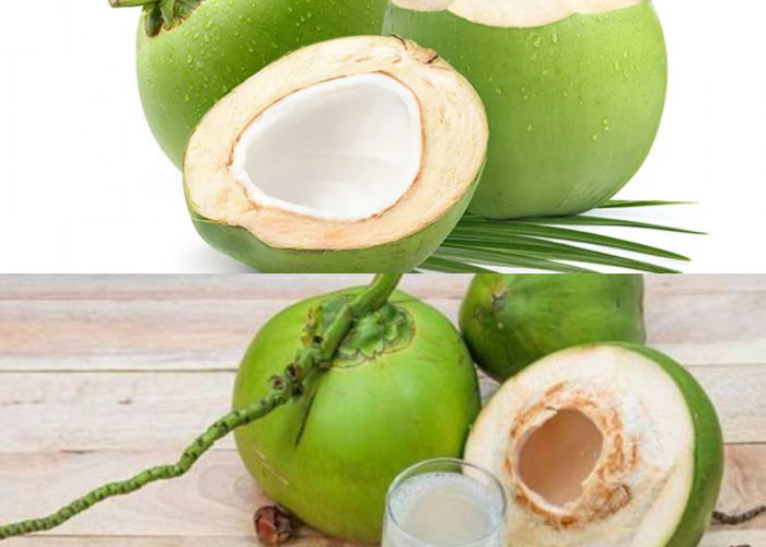 Manfaat Buah Kelapa untuk Kesehatan yang Jarang Diketahui!