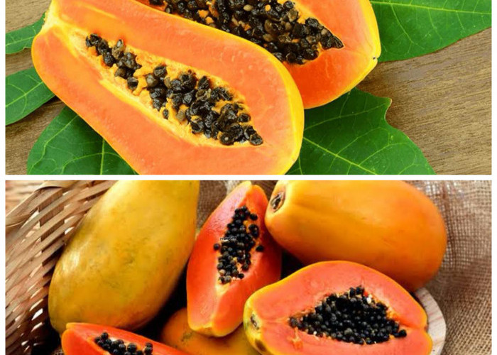 8 Khasiat Buah Pepaya yang Baik untuk Menjaga Kesehatan Tubuh!