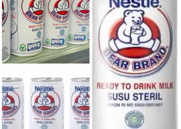 Manfaat Susu Beruang bagi Kesehatan: Kandungan, Khasiat, dan Hal yang Perlu Diperhatikan!