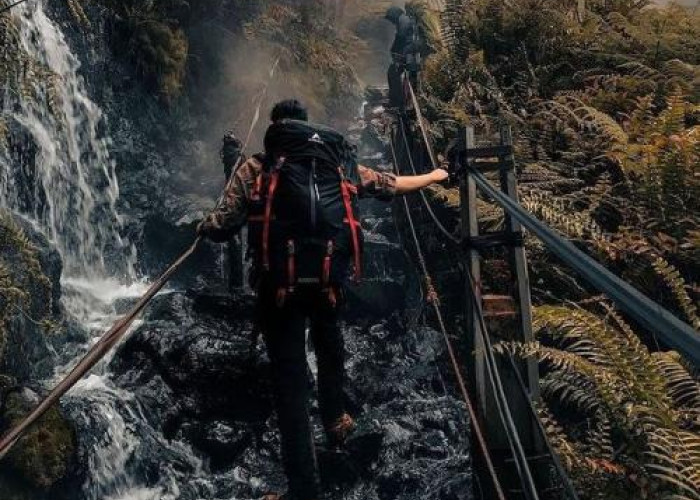 Inilah Cerita Horor yang Sering Ditemui Para Pendaki di Gunung Pangrango 