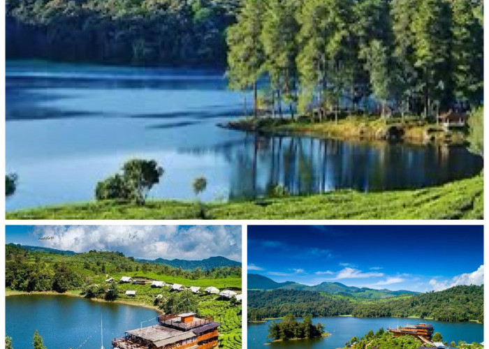 Rekomendasi Wisata Situ Patenggang: Pesona Alam dan Legenda Cinta di Kaki Gunung Patuha!