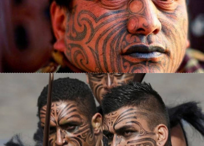 Rambut dan Tato Kepala dalam Budaya Maori Peta Identitas yang Hidup di Kulit dan Rambut