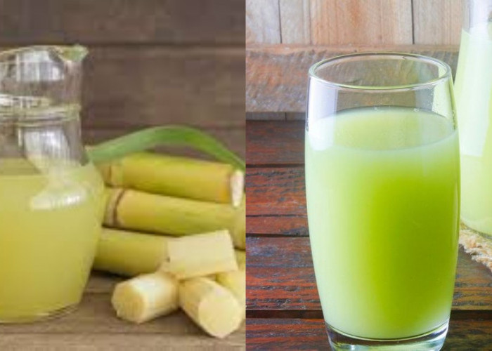 Deretan Manfaat Air Tebu Hijau untuk Pria, dari Energi hingga Kesehatan Prostat!