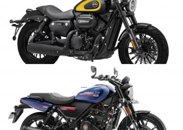 Harley Davidson Kini Lebih Terjangkau, Motor Cruiser Mulai Dilirik Anak Muda Indonesia!