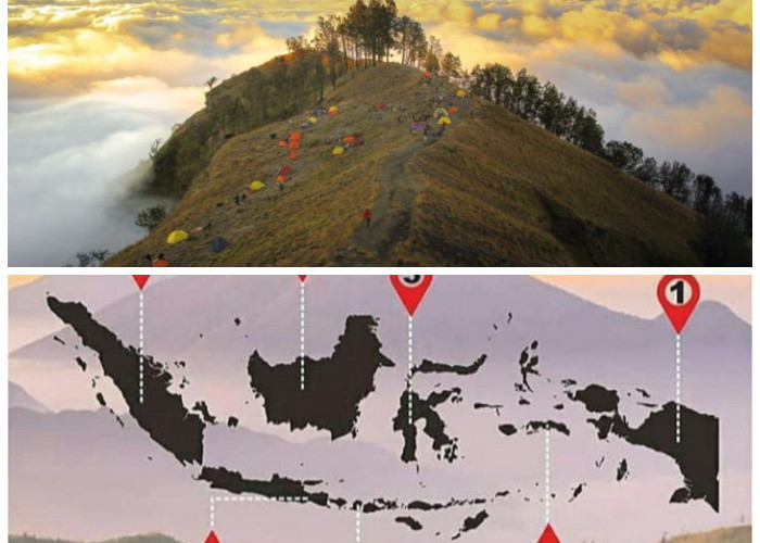 Taukah Kamu? Inilah 7 Gunung Tertinggi di Indonesia yang Masuk Daftar  Seven Summit Indonesia