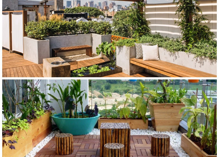 Taman Rooftop Minimalis untuk Rumah Modern, Tempat Berkumpul Keluarga yang Fungsional dan Menawan